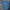 American Ryno T-shirt