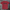 Rynowear Boca Elite T-Shirt