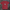 Boca Ryno T-Shirt