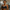 Black Ryno Nova Sports Bra