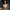White Ryno Nova Sports Bra