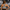 Ryno Ascension Padded Sports Bra