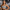 Ryno Ascension Padded Sports Bra