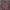 Gym Ryno T-Shirt