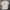 Helping Rynos 1 at a Time T-Shirt