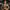 Cashmere Blue Ryno Crush Padded Sports Bra