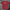 Never Back Down 2.0 T-shirt