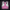 Pink Ryno Sports Bra