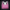 Pink Ryno Sports Bra