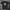 Ryno Rage T-Shirt