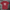 Ryno Rage T-Shirt