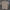 Ryno Grit T-Shirt