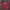 Rynowear Gym T-Shirt