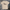 The Rynowear Promise T-Shirt