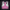Pink Ryno Crush Sports Bra